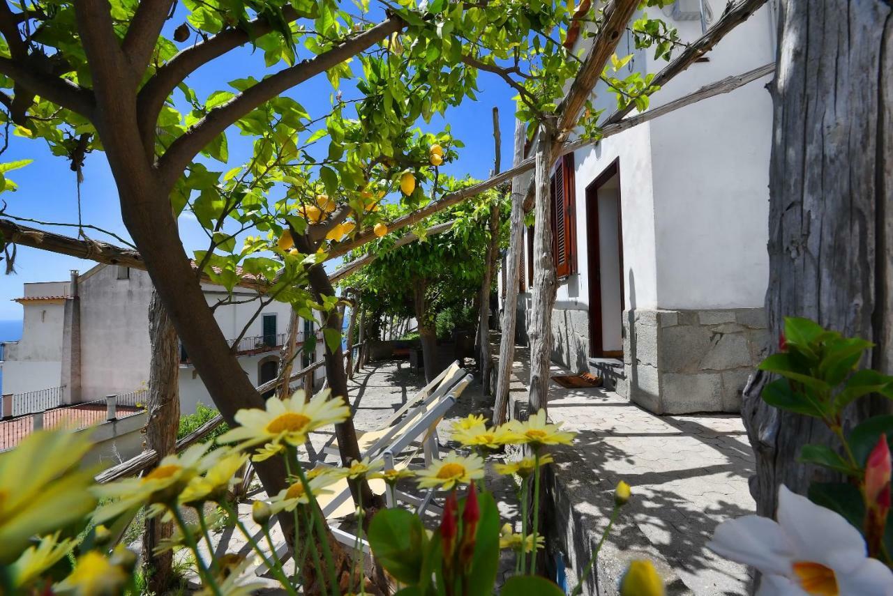 Dama Di Cuori Villa กองกาเดมารีนี ภายนอก รูปภาพ